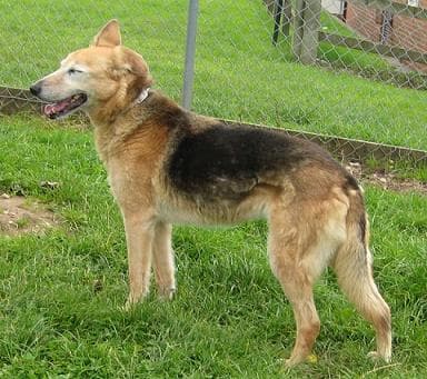 Lucy — Unknown
