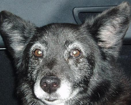 Buster — Unknown