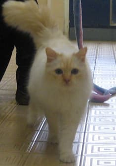 Casper — Unknown