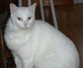 Casper — Unknown