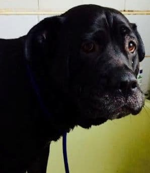Betty — Unknown