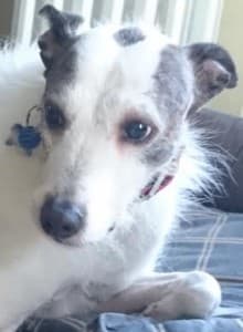 Benny — Unknown