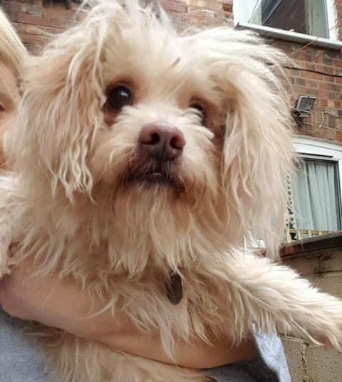Alfie — Unknown