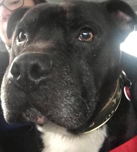 Vinnie — Unknown