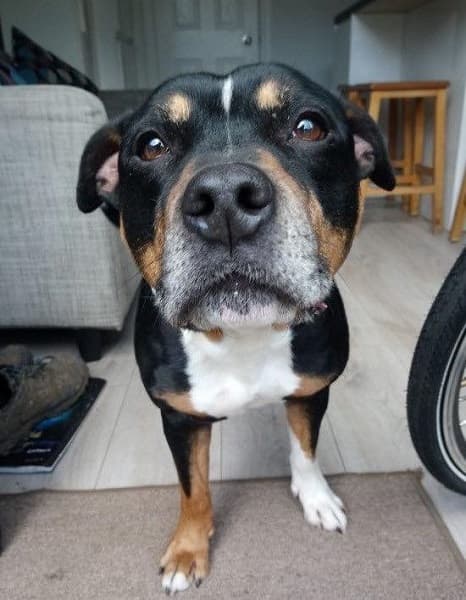 Buster — Unknown