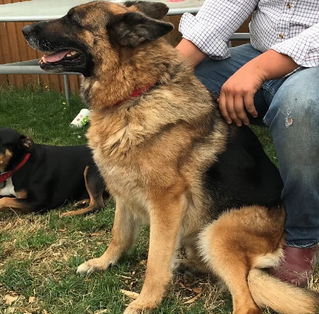 Xena — Unknown