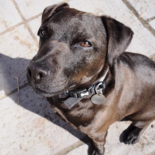 Milo — Unknown