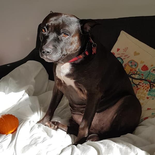 Roxy — Unknown