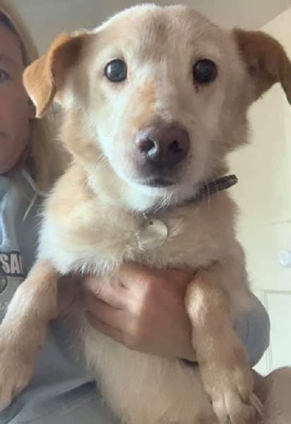 Vinnie — Unknown