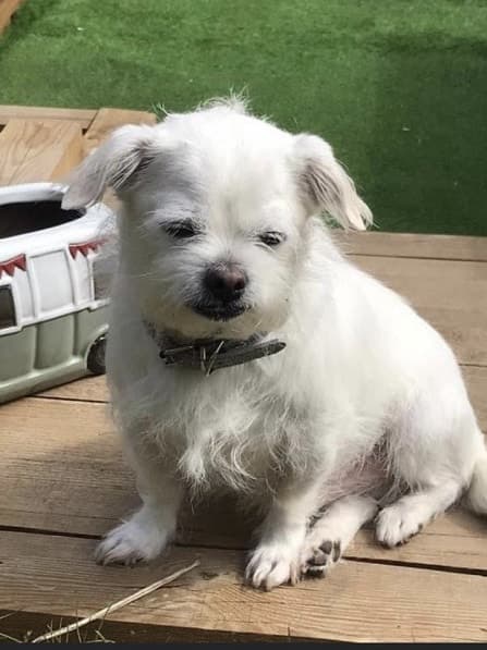 Frank — Unknown
