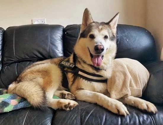 Thor — Unknown