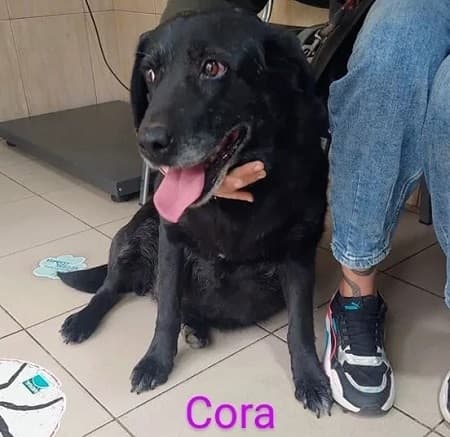 Cora — Unknown