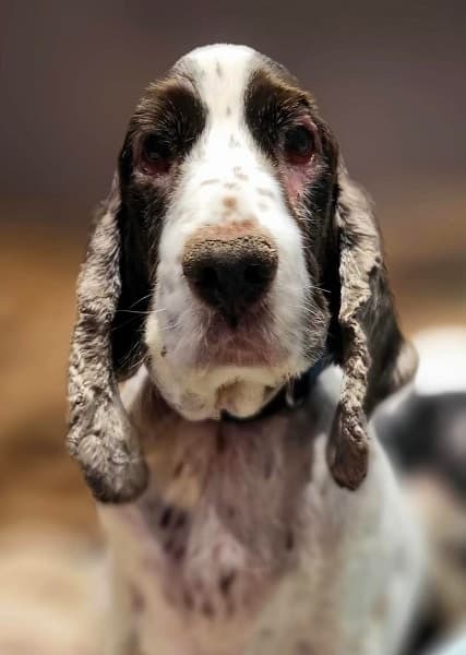 Buster — Unknown