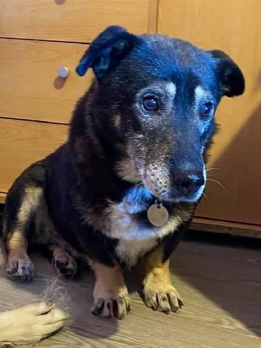 Barkley — Unknown