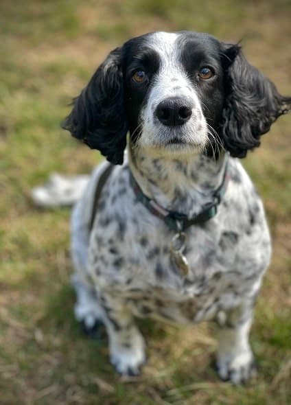 Dora — Unknown
