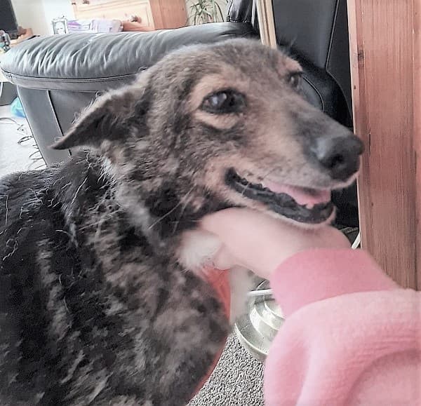Tilly — Unknown