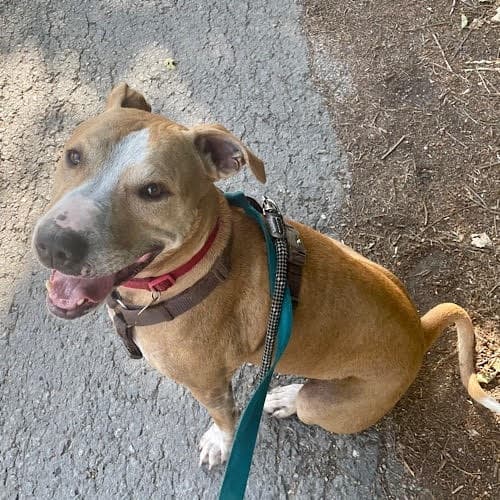 Roxy — Unknown