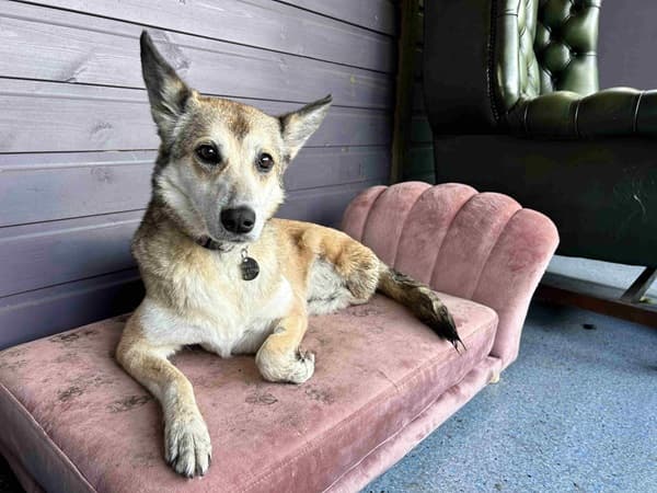 Bella — Unknown