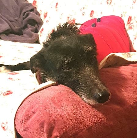 Betty — Unknown