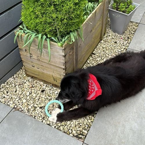Alfie — Unknown