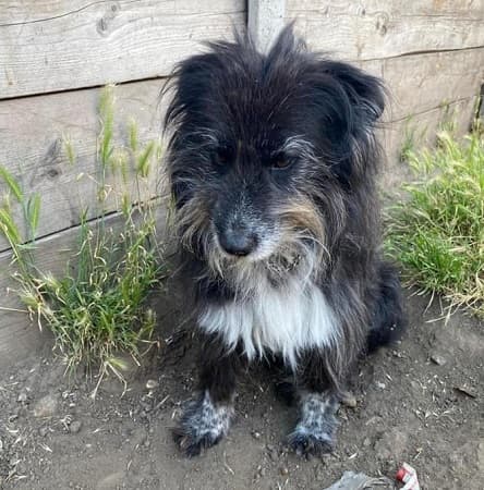 Winnie — Unknown
