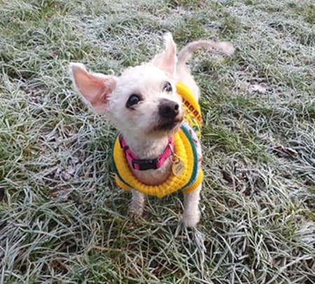 Bertie — Unknown