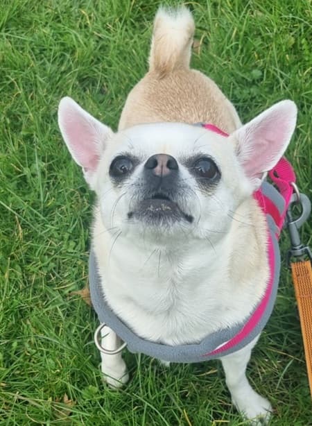 Queenie — Unknown