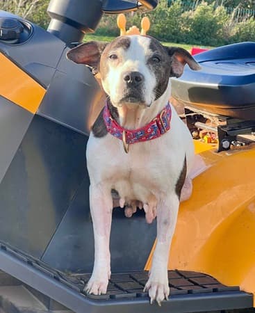 Roxy — Unknown