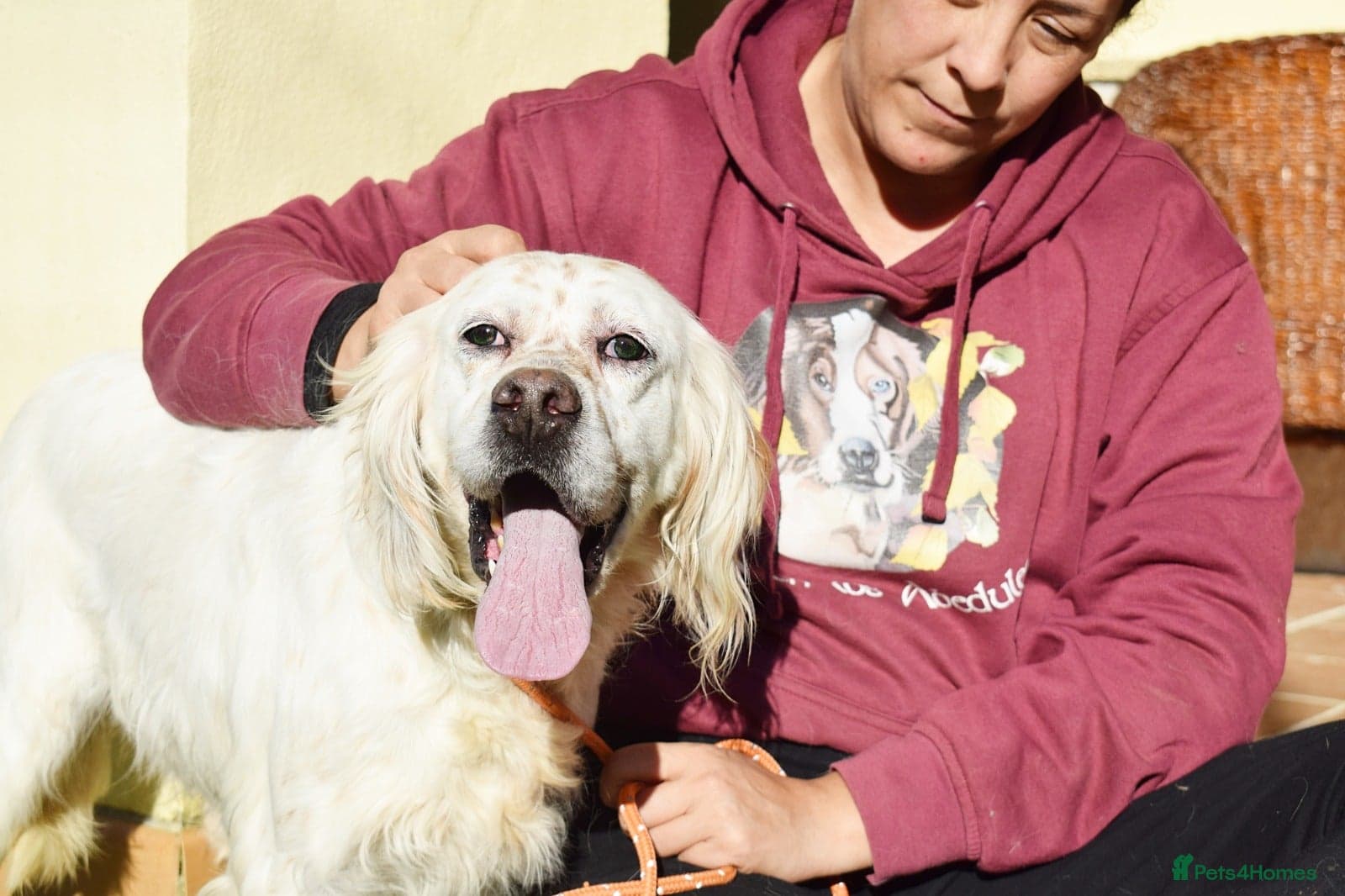 Nell photo 6