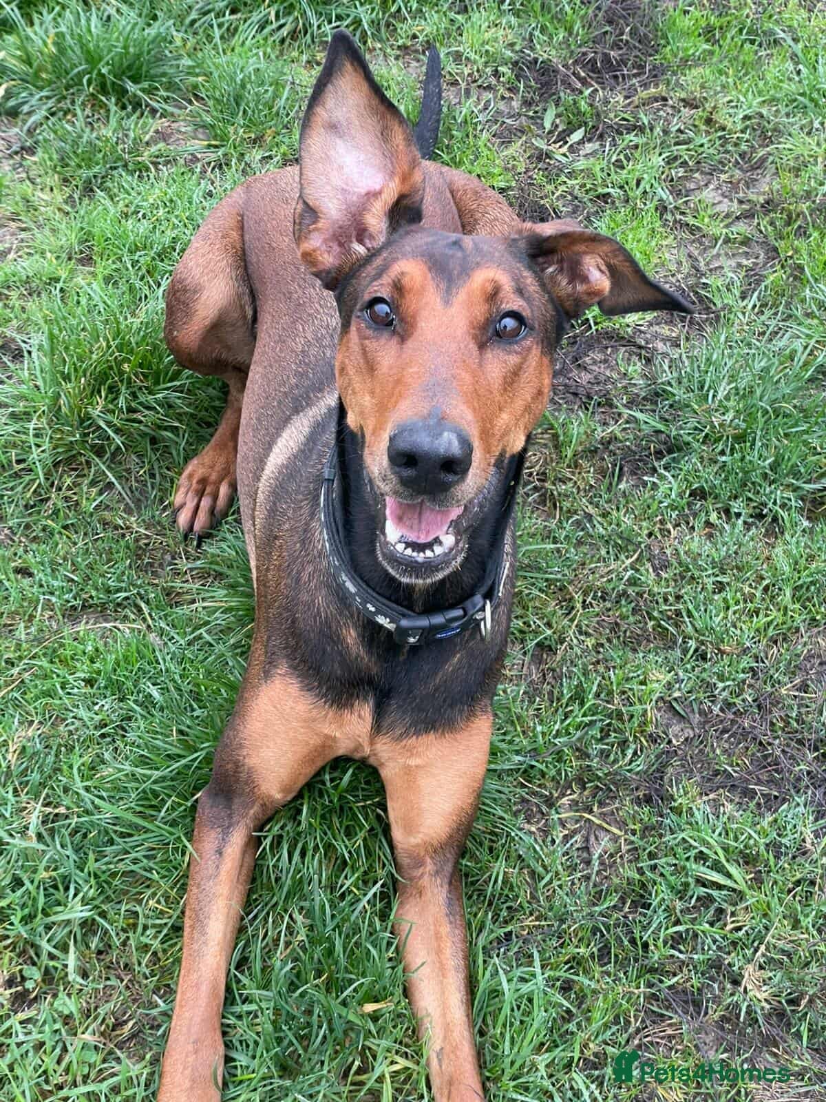 BONNIE 💕 Playful, Loving Girl photo 3