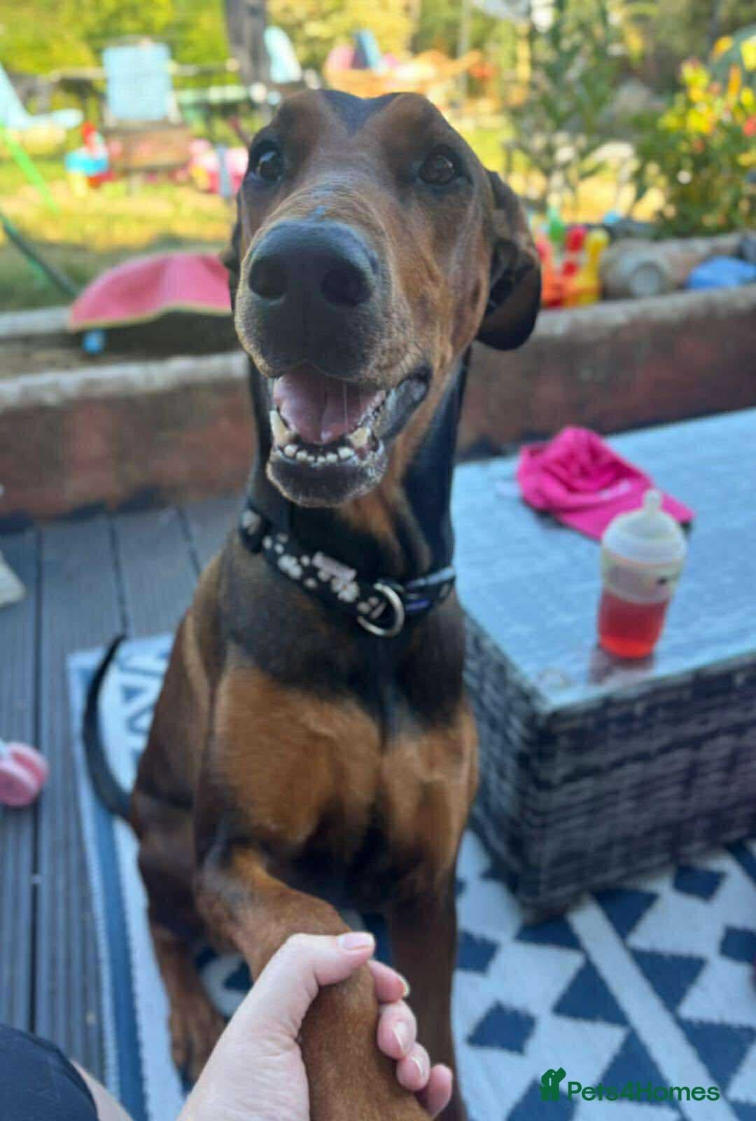 BONNIE 💕 Playful, Loving Girl photo 4