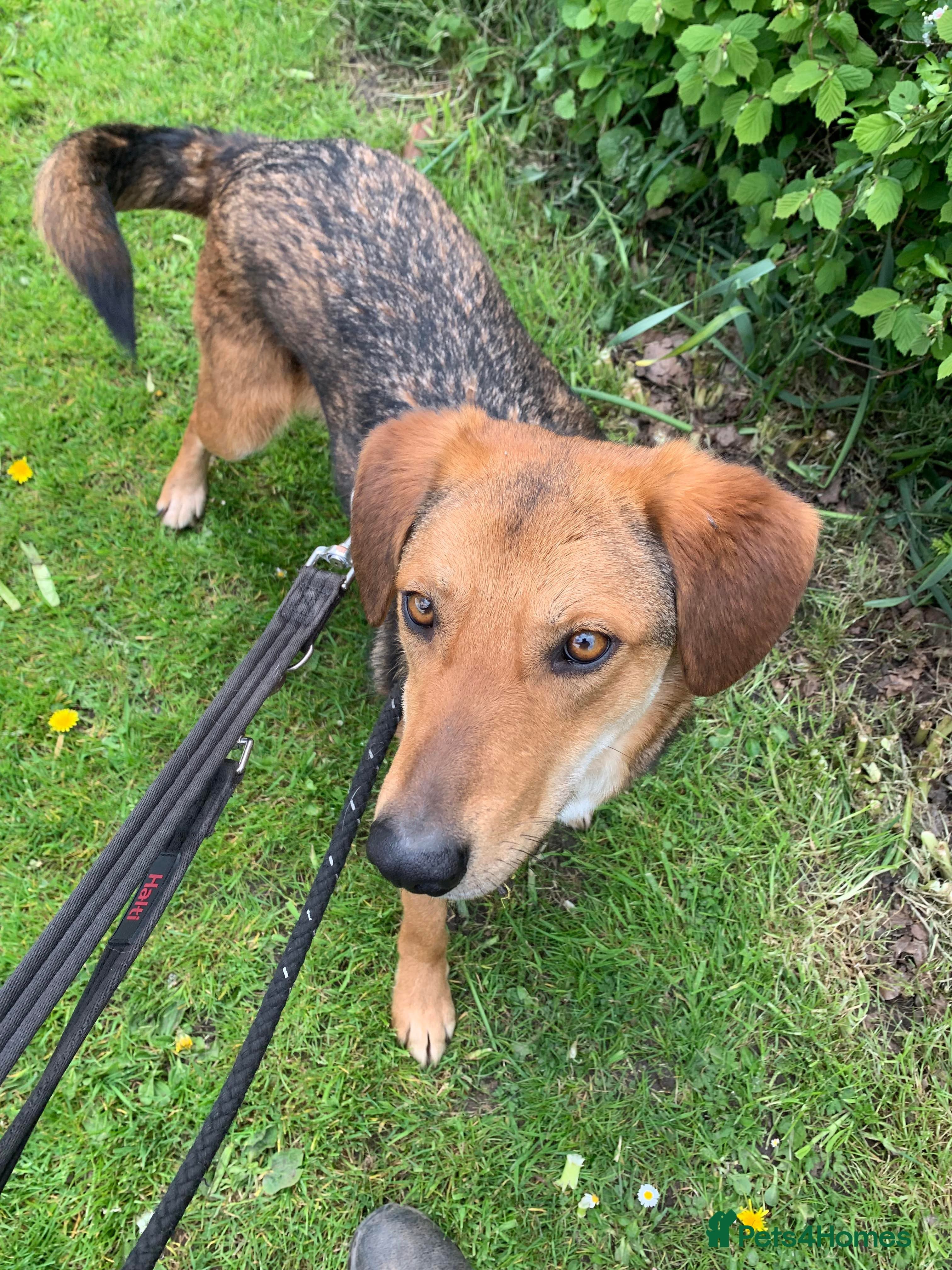 Meet Shiloh, currently residing in Cheshire photo 8