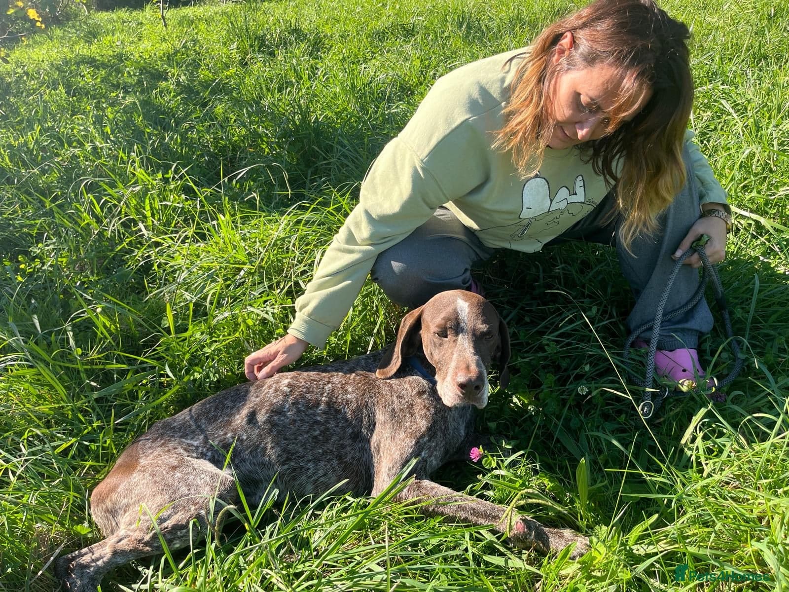 Yaco — German Shorthaired Pointer