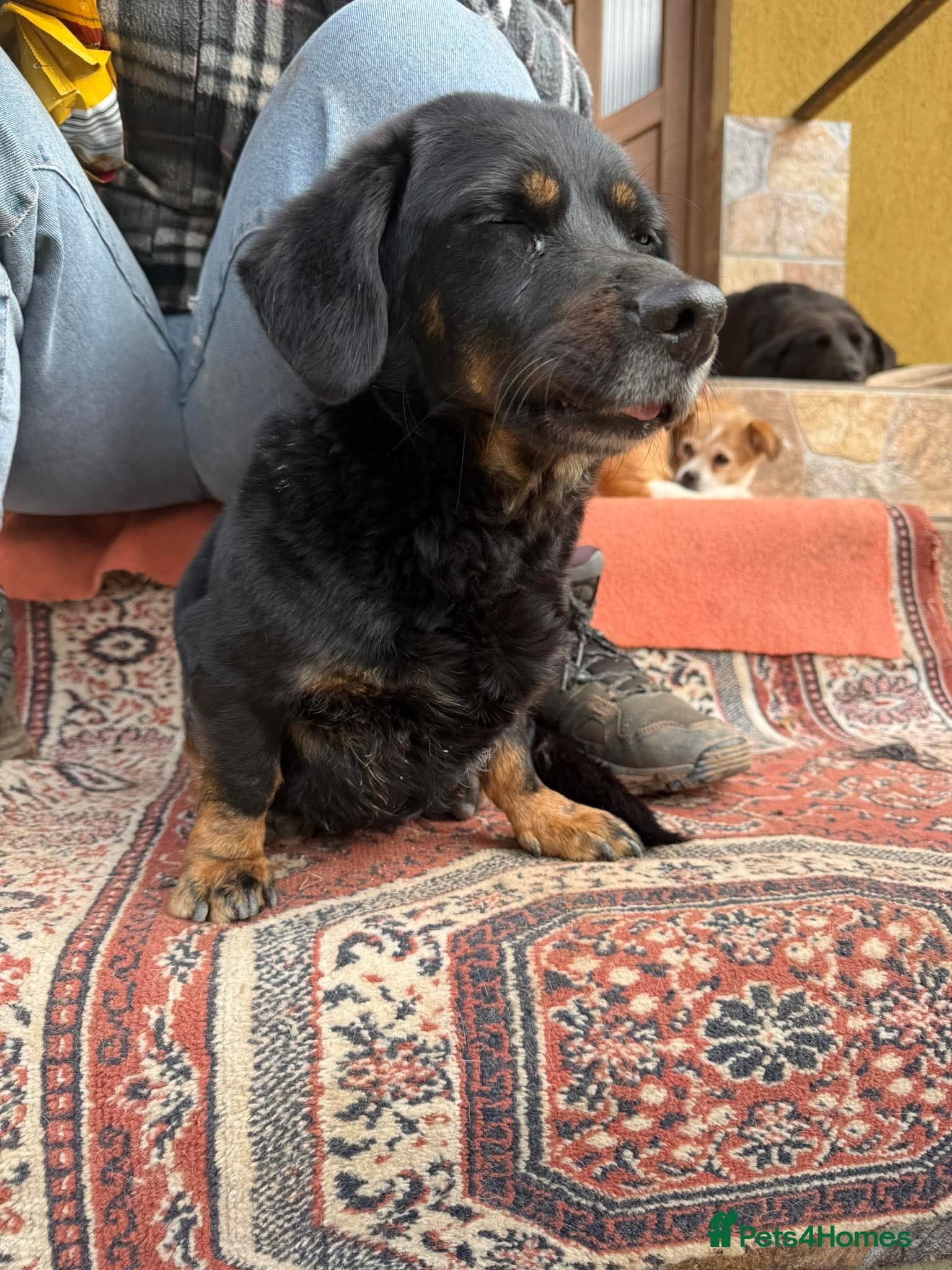 Maya photo 6