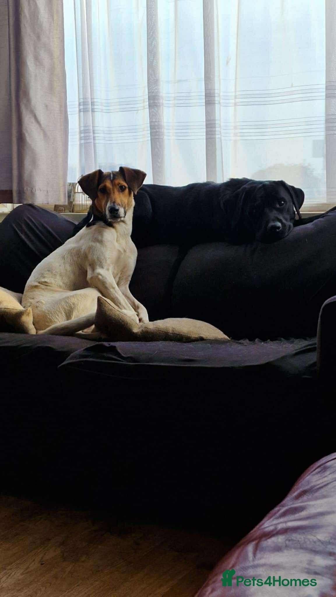 Nora photo 23
