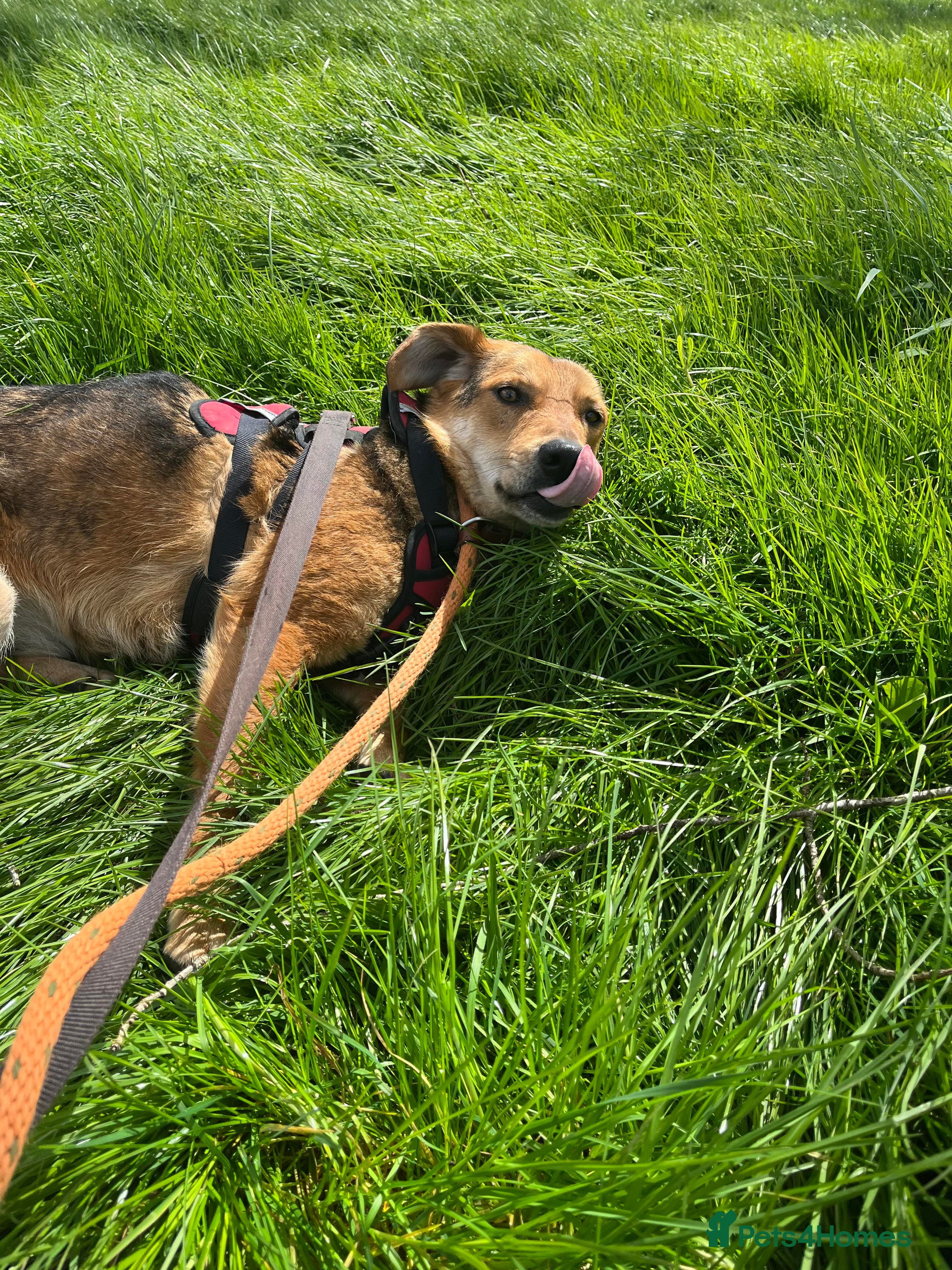 Meet Shiloh, currently residing in Cheshire photo 4