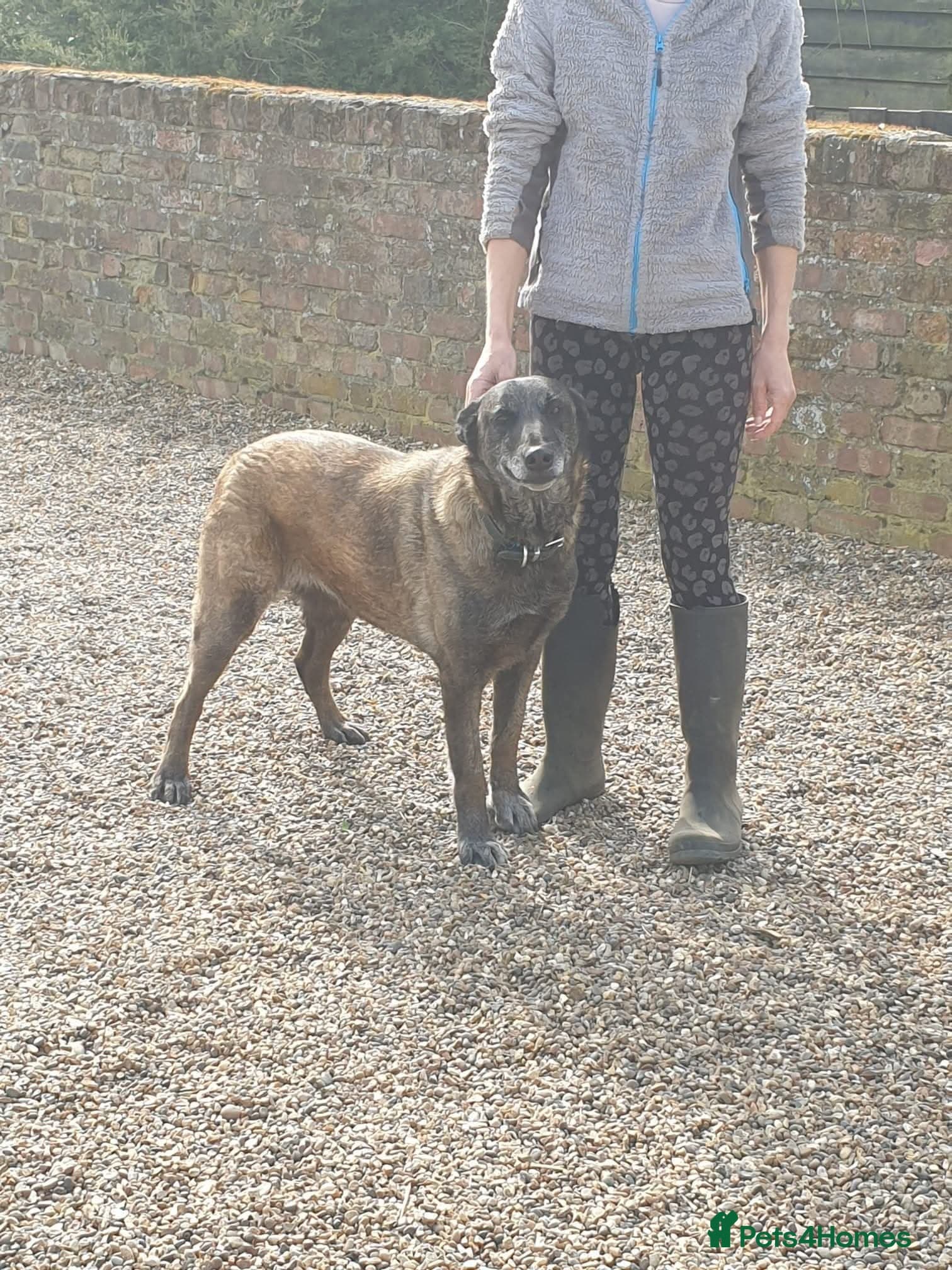 Meet Sasha, currently residing in Merseyside photo 6