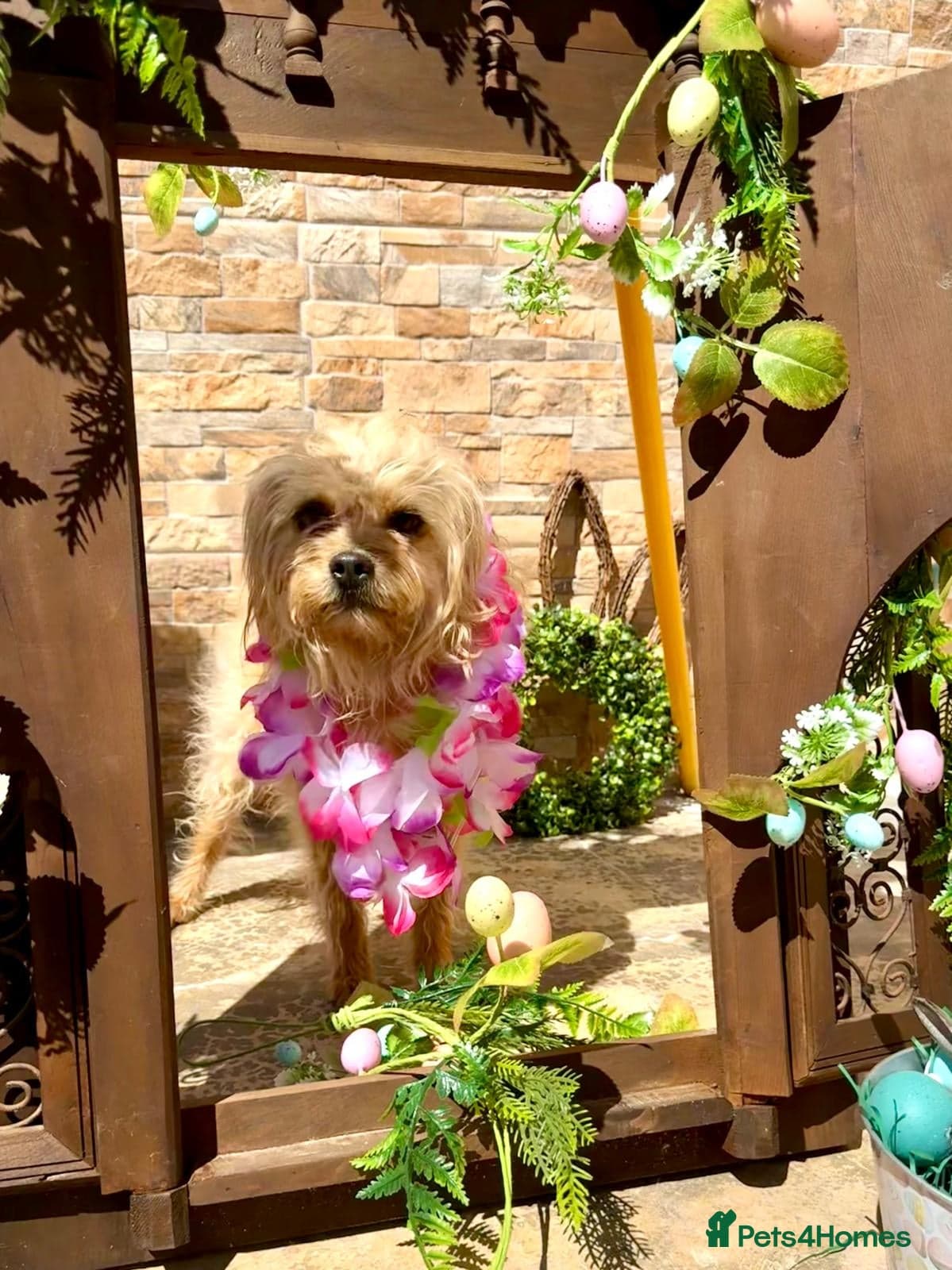 Flora Belle photo 3