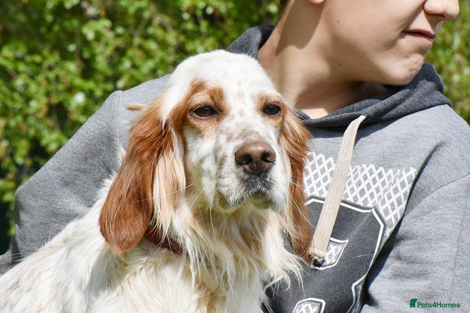 Roky photo 2