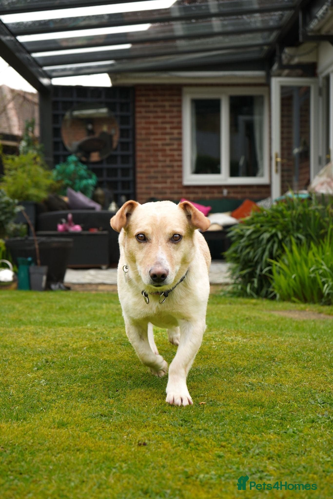 Fantastic Fred photo 3