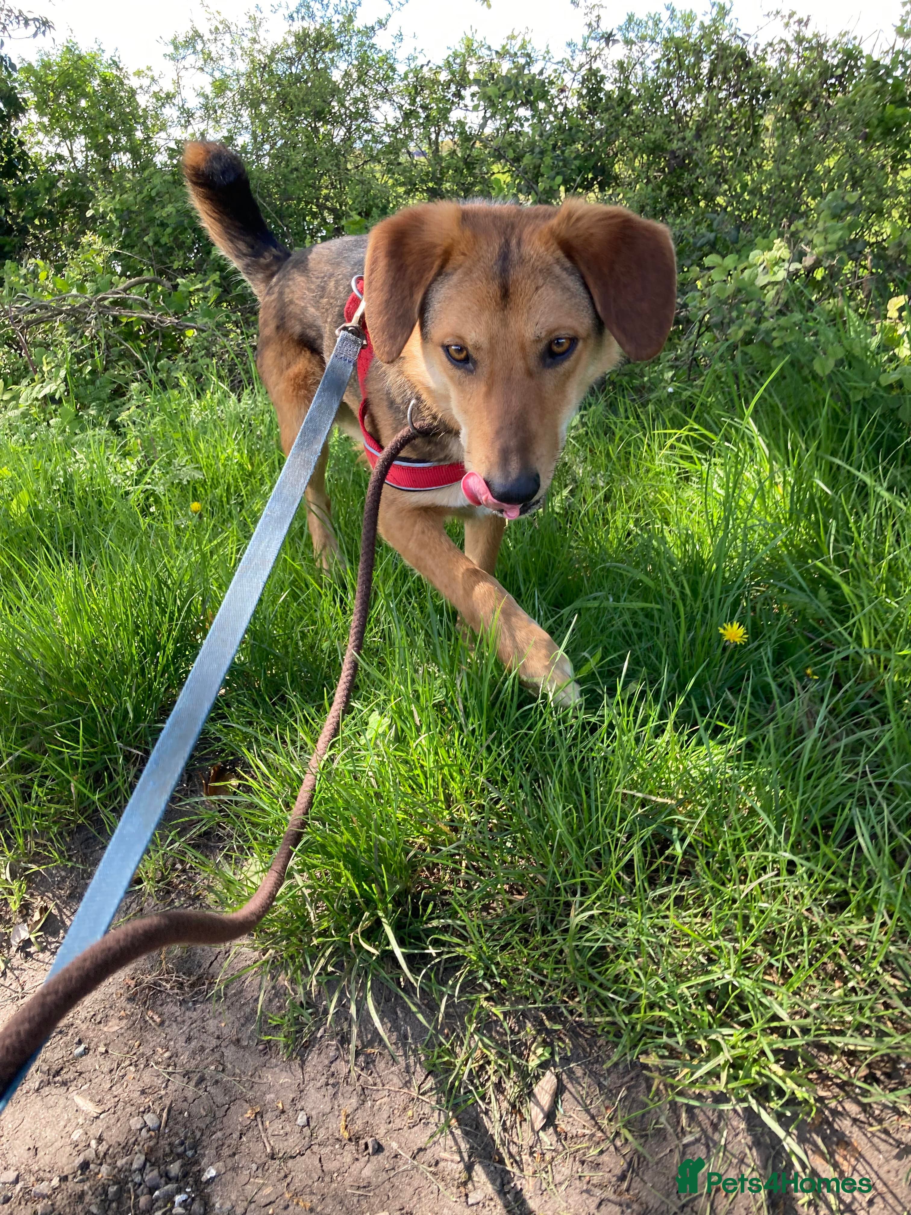 Meet Shiloh, currently residing in Cheshire photo 12