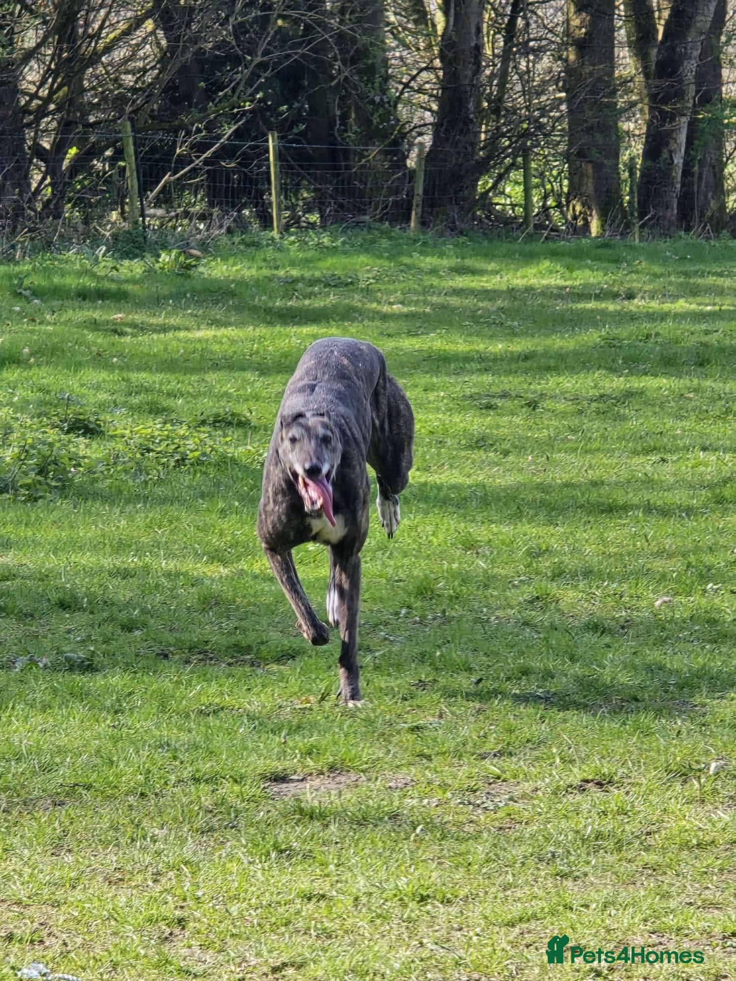 Cass photo 3