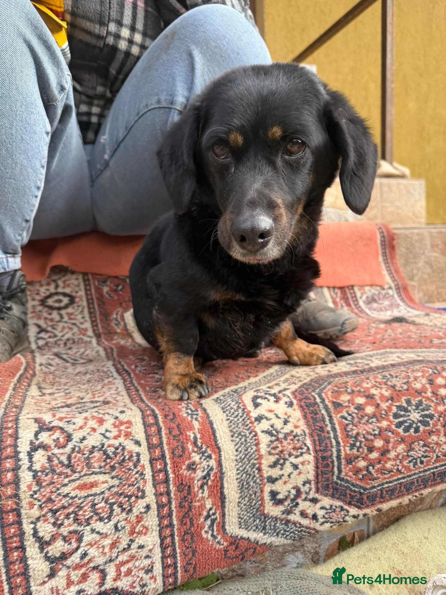 Maya photo 4