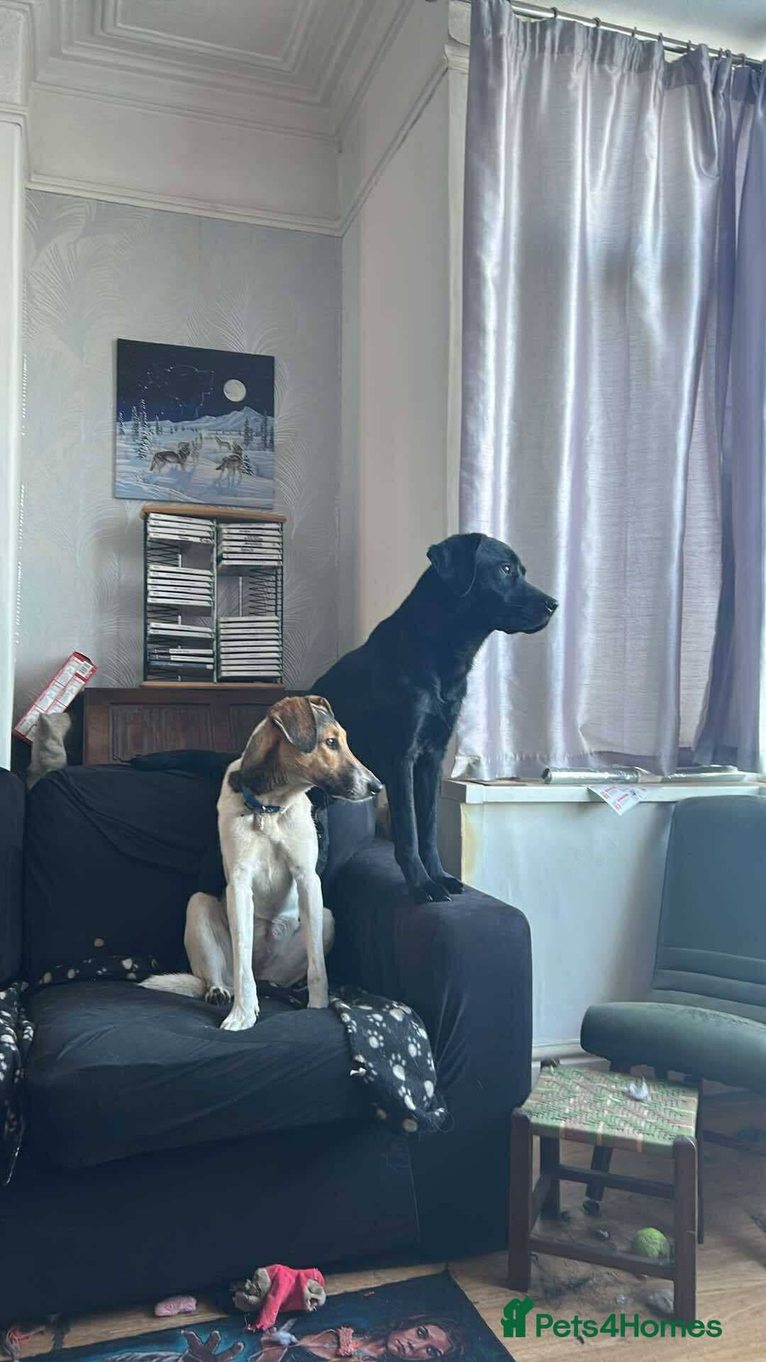 Nora photo 4