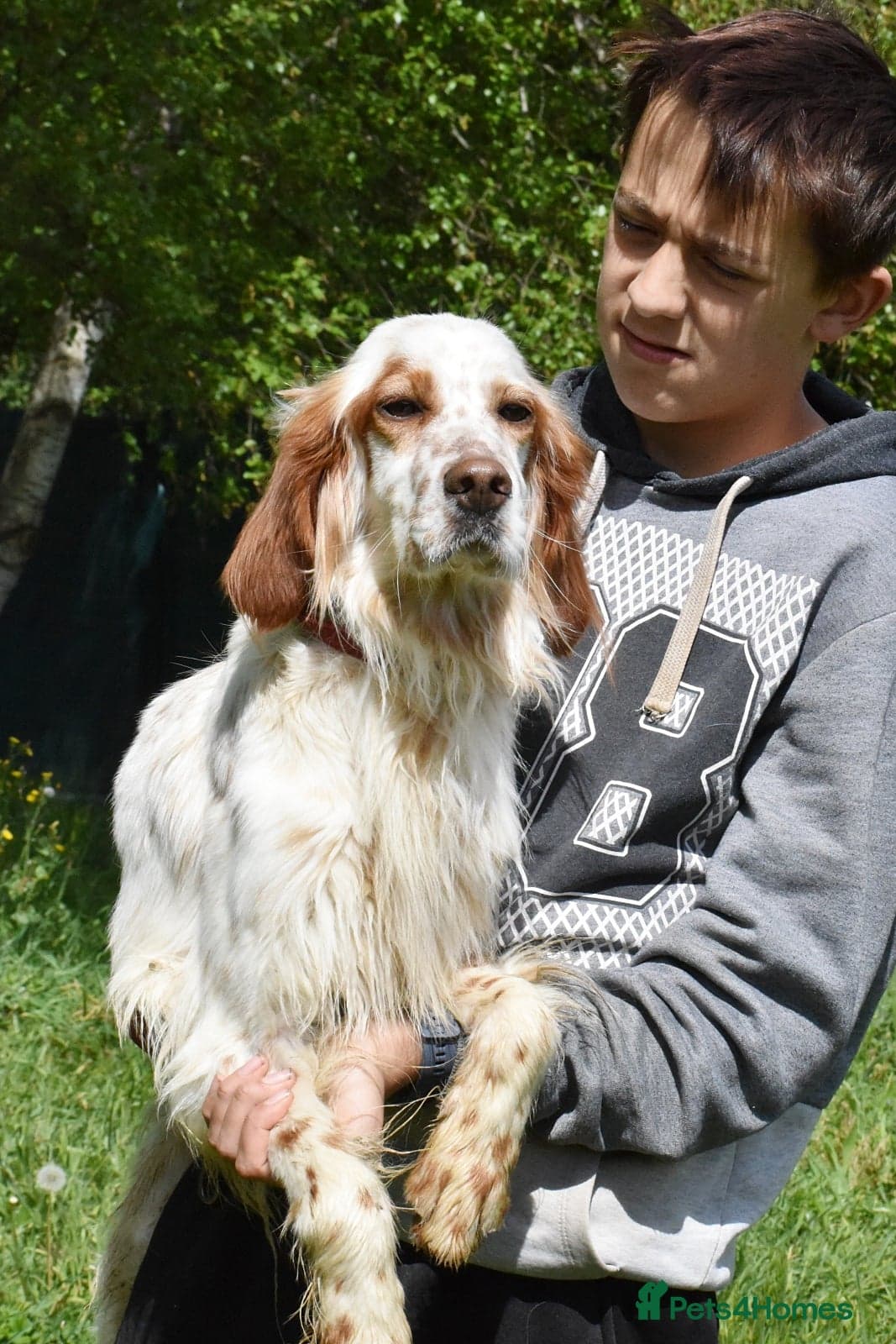 Roky photo 6