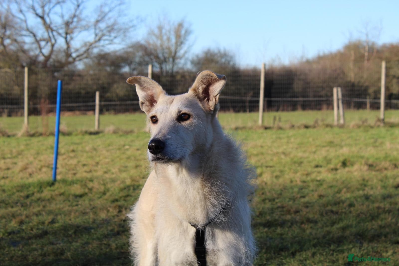 Peggy photo 3
