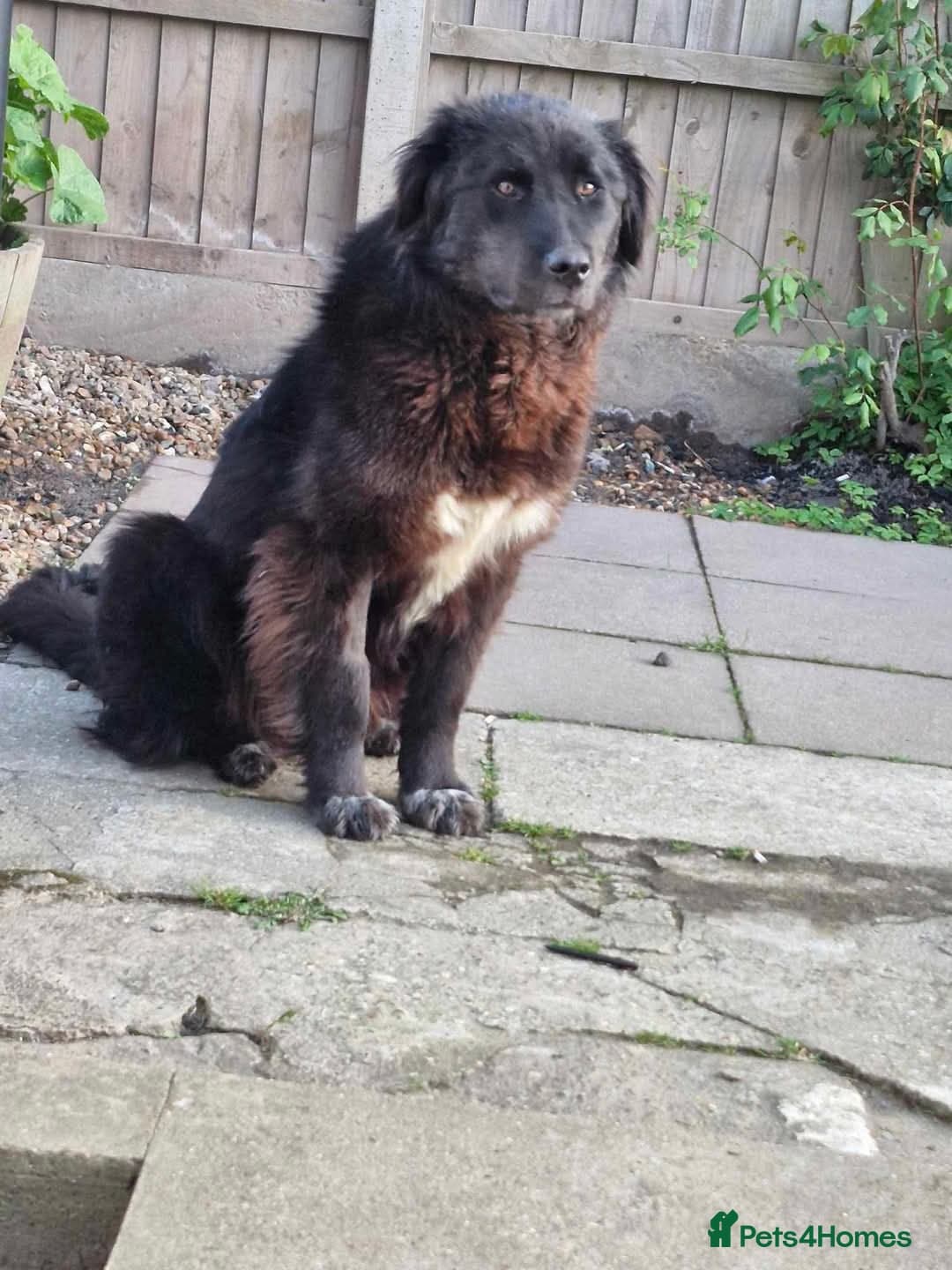 Meet Bryony, currently residing in Kent photo 5
