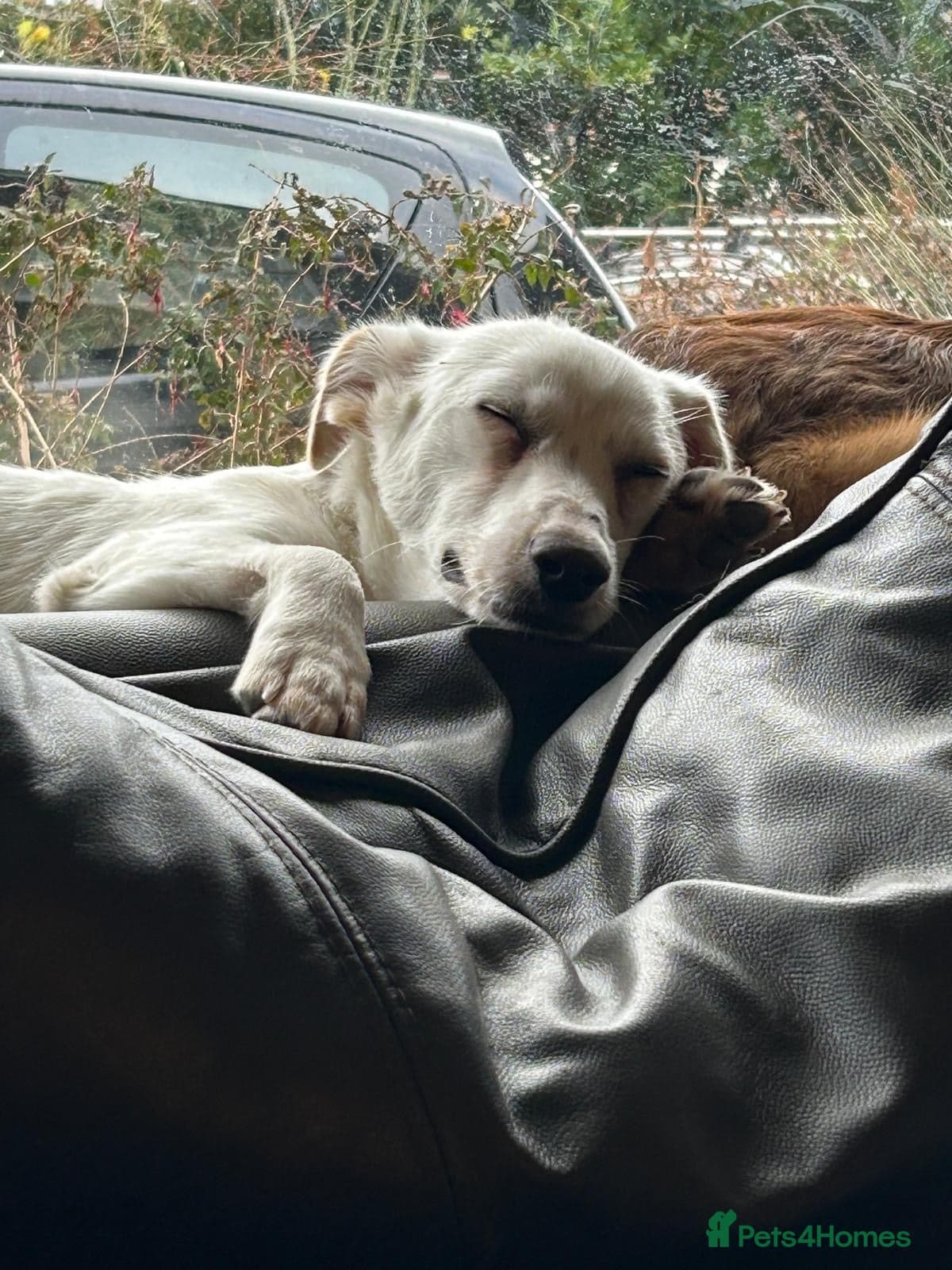 Chance photo 10