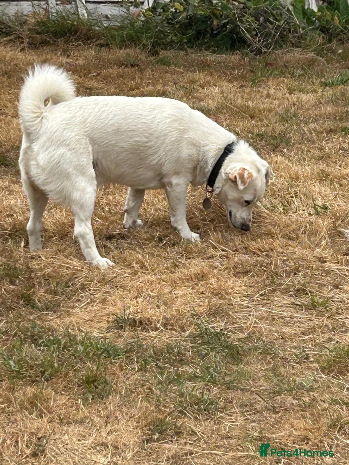Chance photo 11