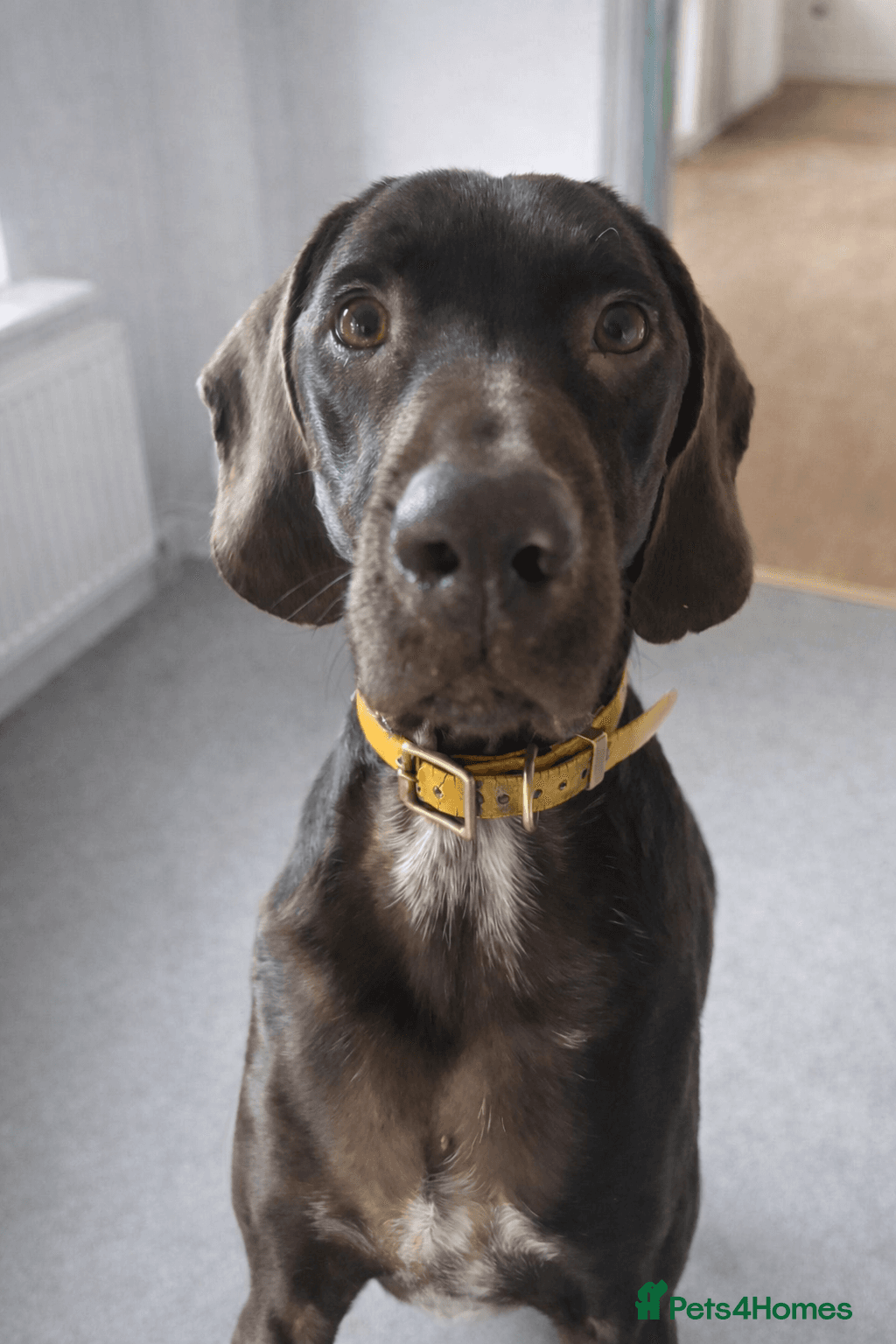️ meet wilson photo 18